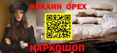 тгк Бердск