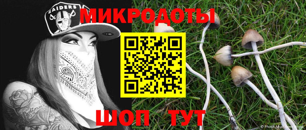 Галлюциногенные грибы Magic Shrooms  Псилоцибиновые грибы MAGIC MUSHROOMS  Кудрово  Вход с VPN 