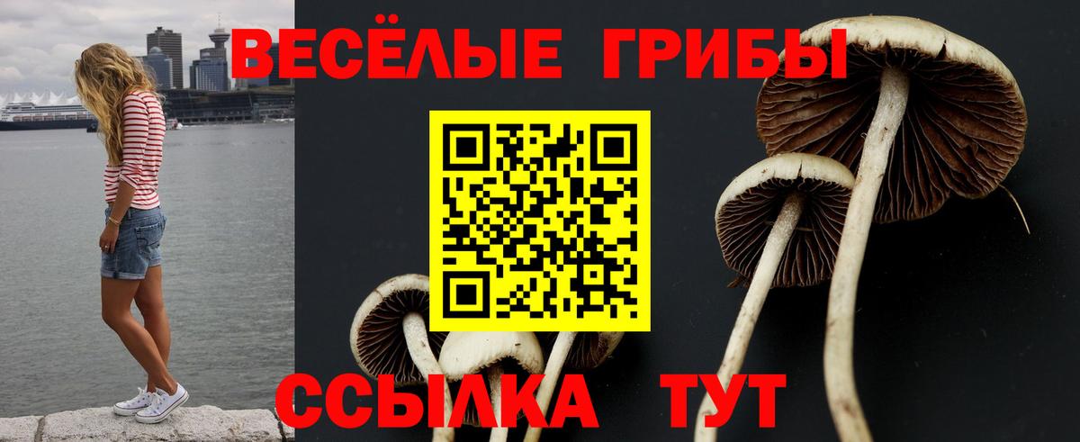 Галлюциногенные грибы ЛСД Кудрово